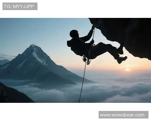 武汉攀岩队的运营揭秘:深度探讨攀岩运动的魅力与挑战