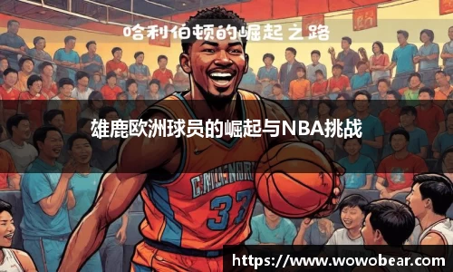 bsports官网入口